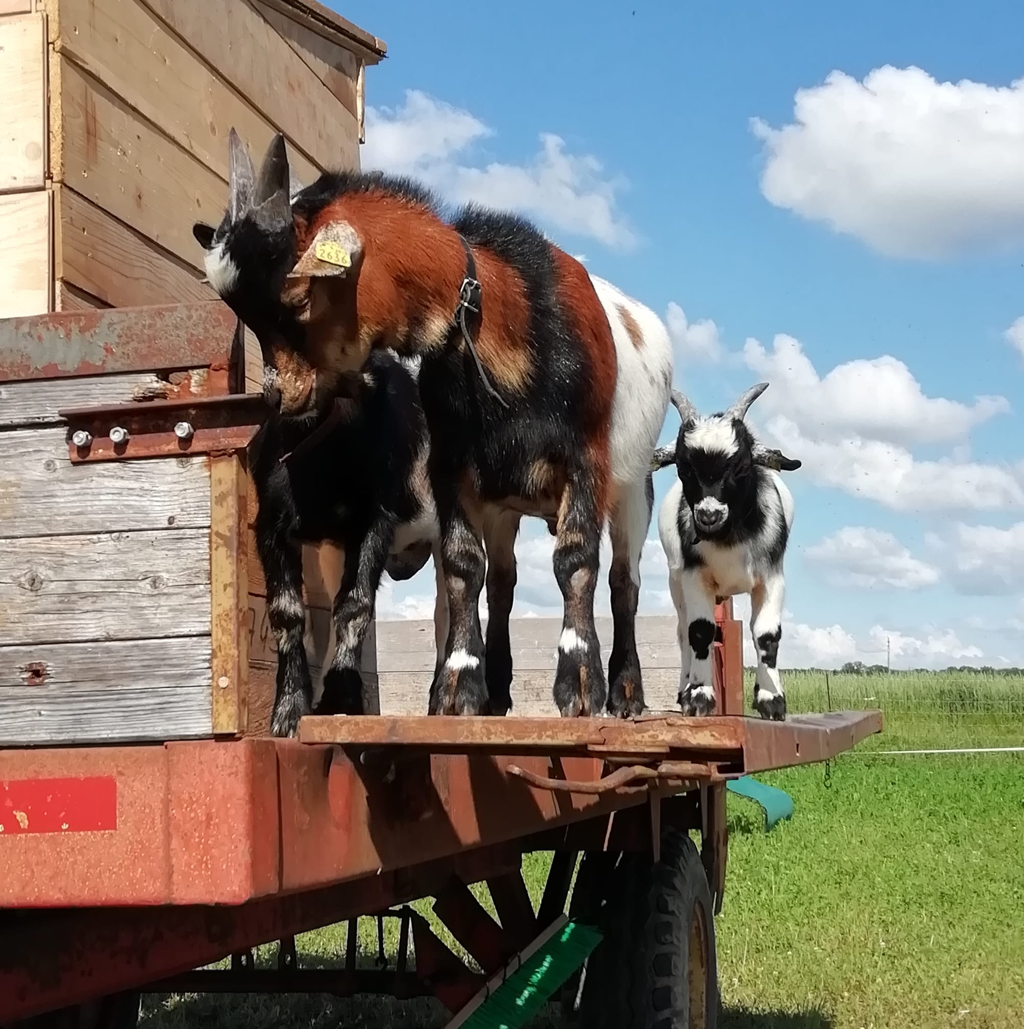 Biohof Meidinger | Neufahrn bei Freising