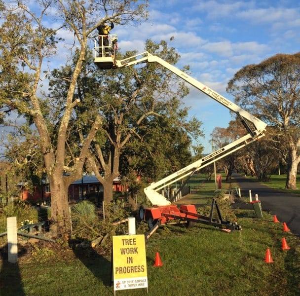 SP Tree Service & Tower Hire