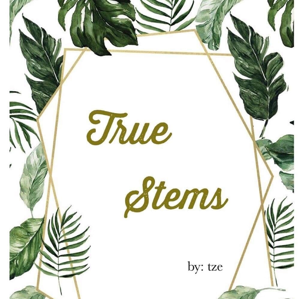 True Stems | Davao City
