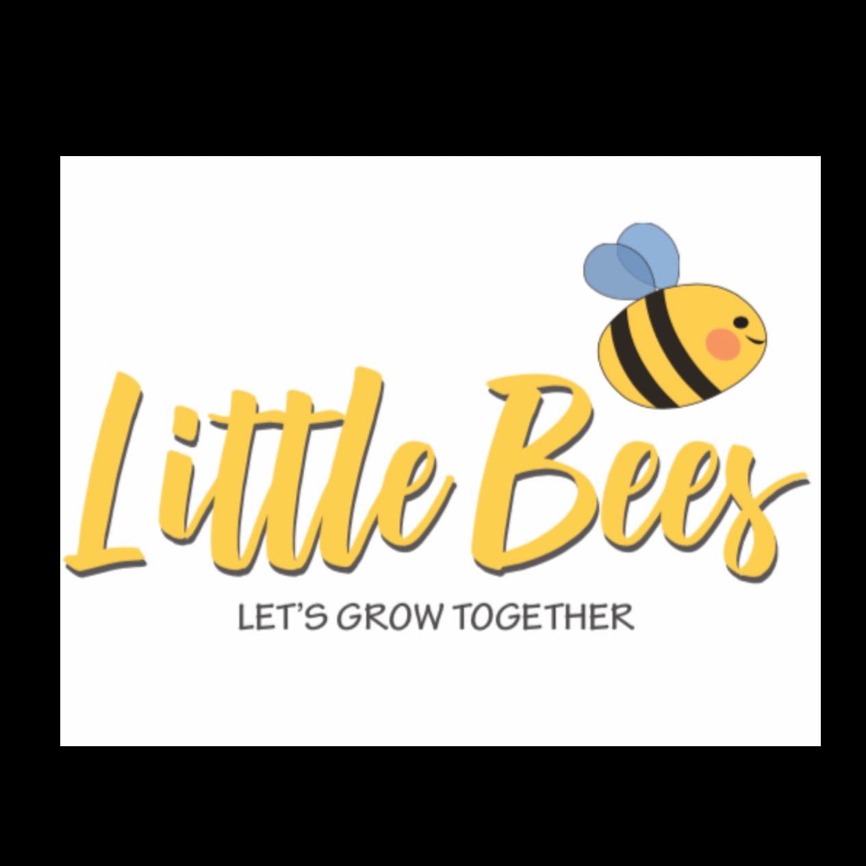 Little Bees Family Day Care LLC | Brooklyn NY