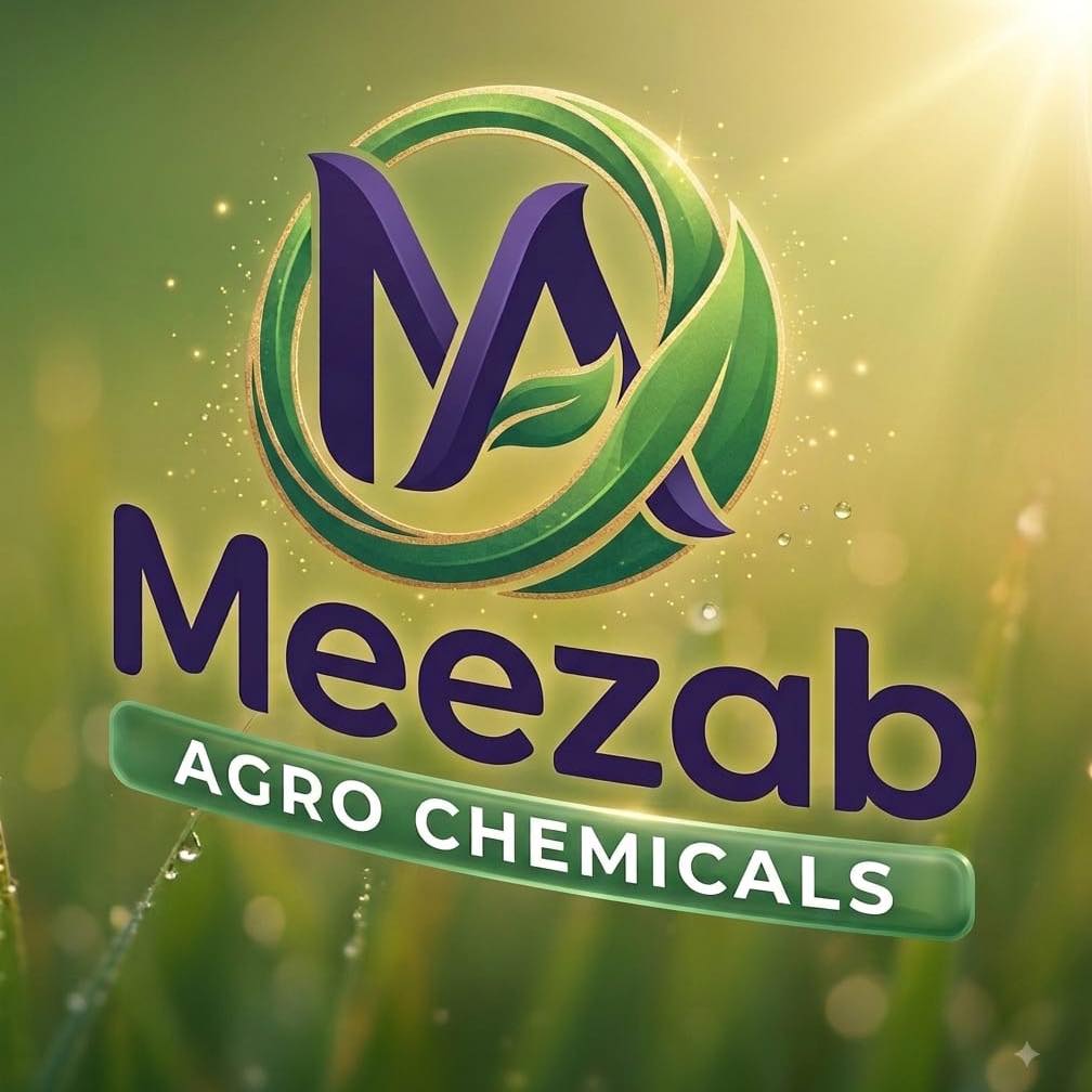 Star Seed Region Layyah