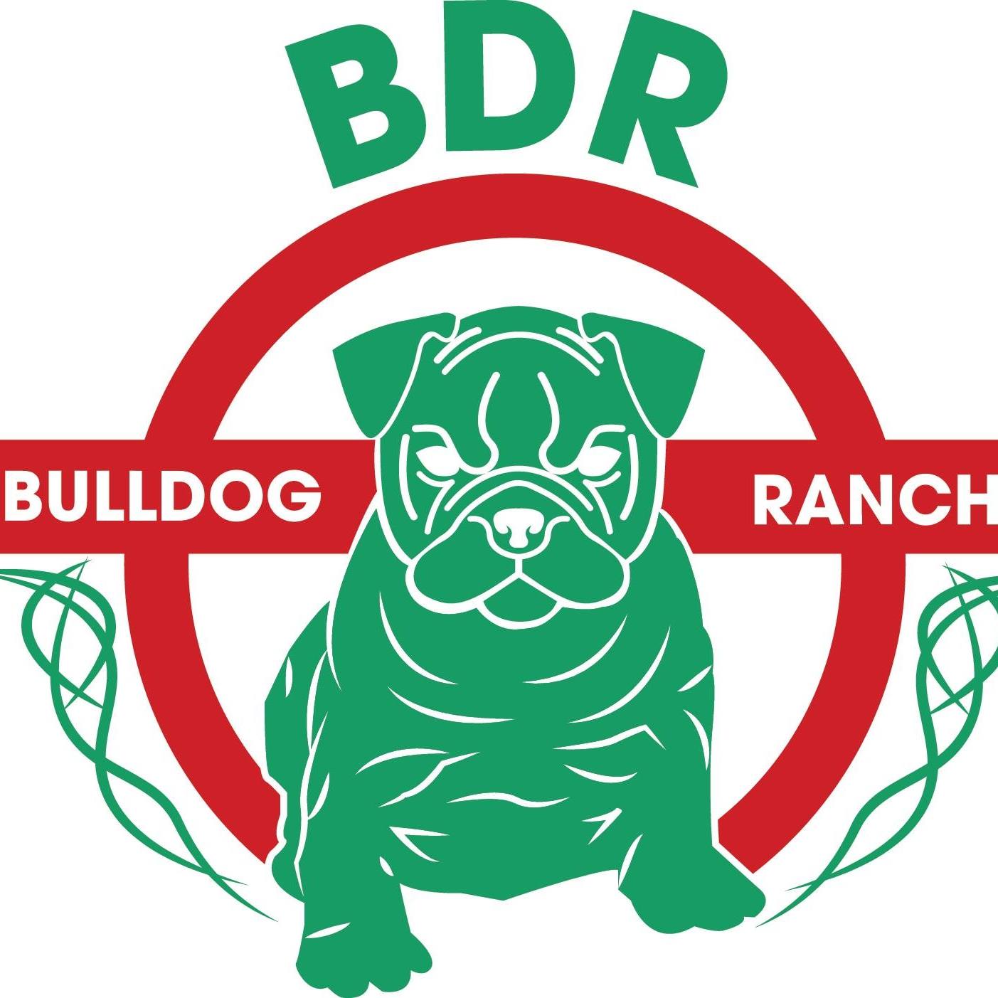 BDR Bulldogges
