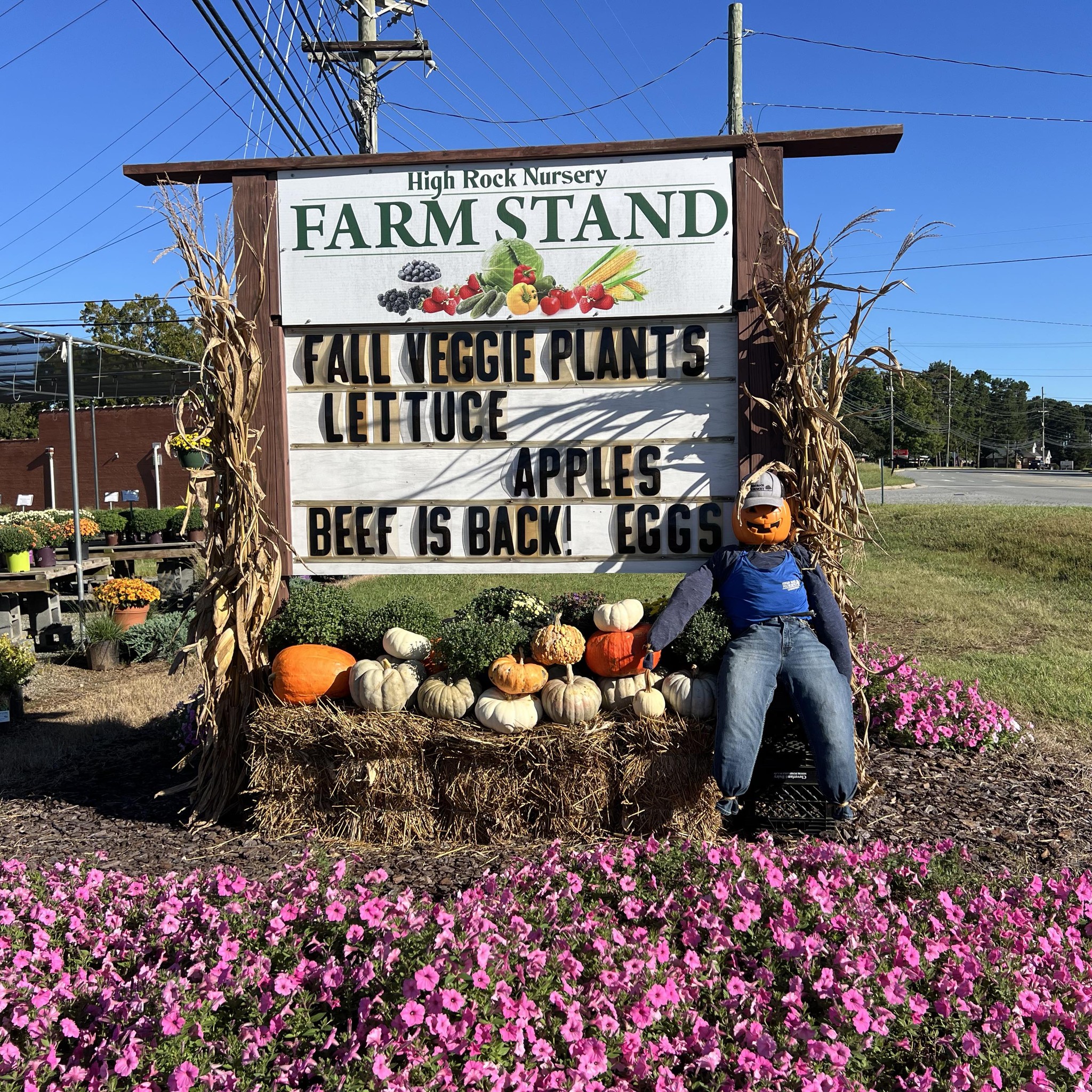 High Rock Nursery | Lexington NC