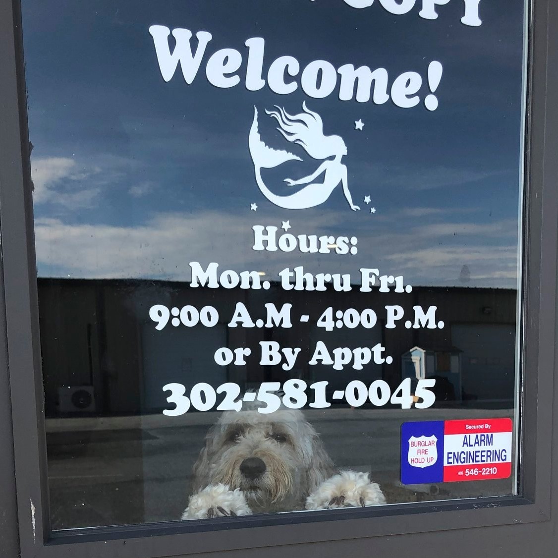 Ocean Copy / OC Signs / Ocean Photographic Custom Framing | Selbyville DE