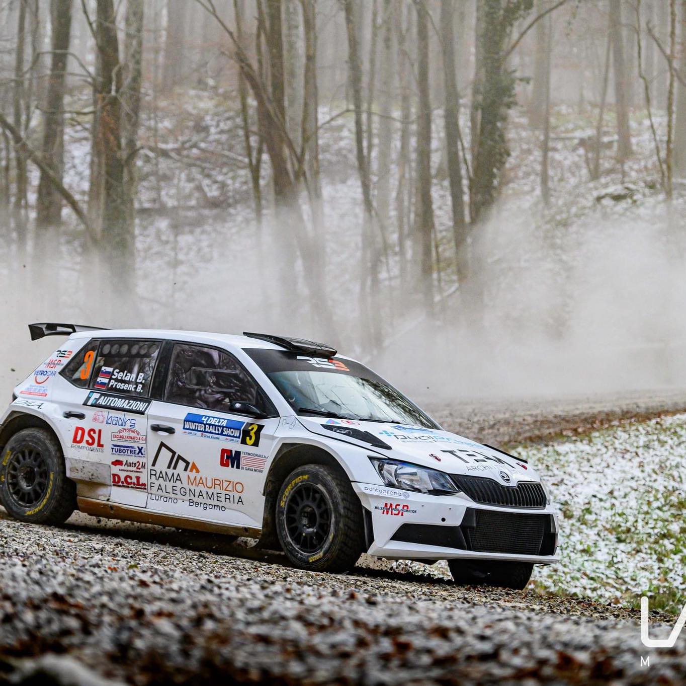 Delta winter rally show