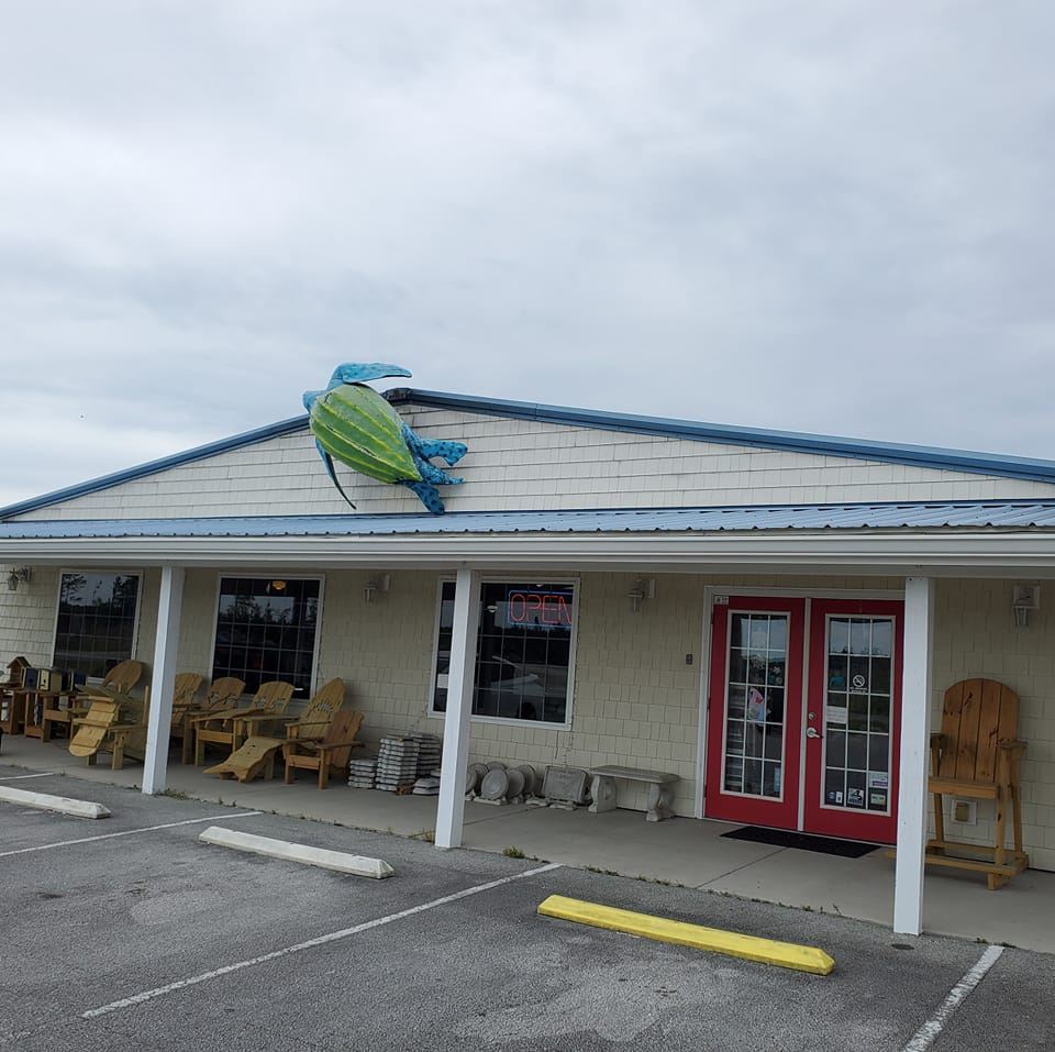 The Turtle Factory And More | Sneads Ferry NC