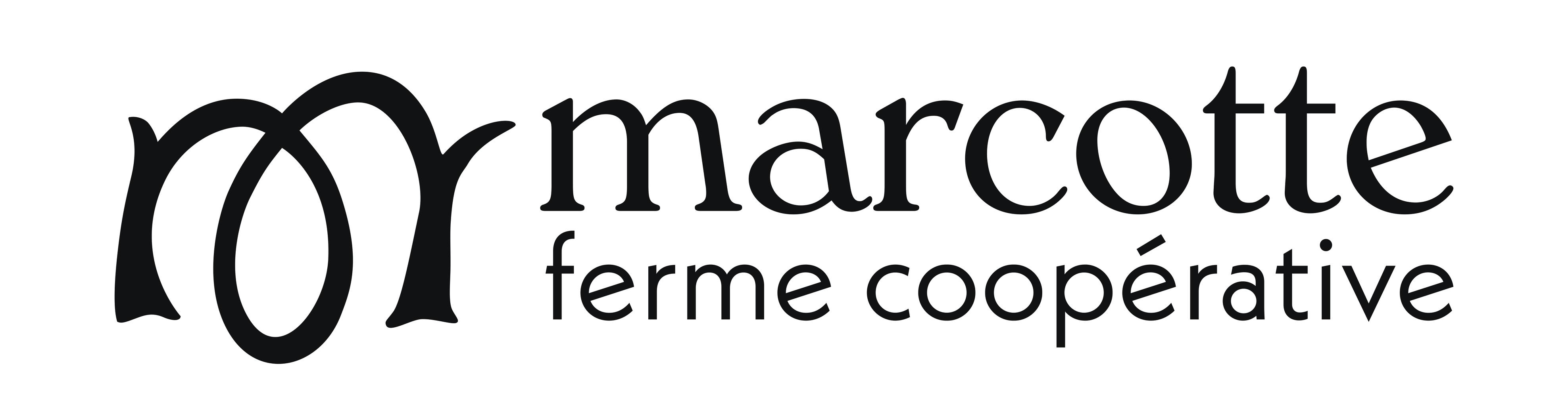 Marcotte | Saint-Saire