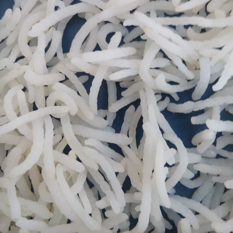 PAK Rice mills Bahawalnagar. پاک رائس ملز بہاولنگر | Bahawalnagar