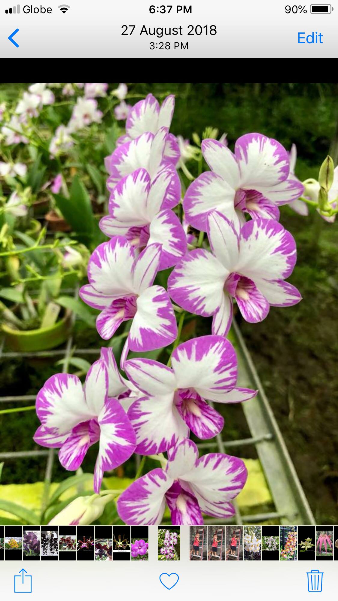 Lilmerie Flower Garden Bauang