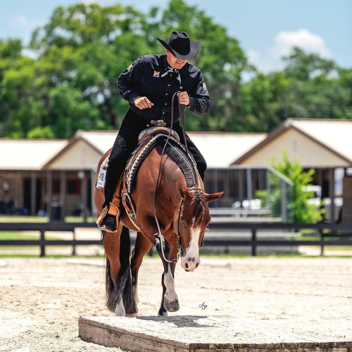 KC Performance Horses | Upper Sandusky OH