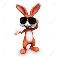 Bunnysitters Rabbit Boarding