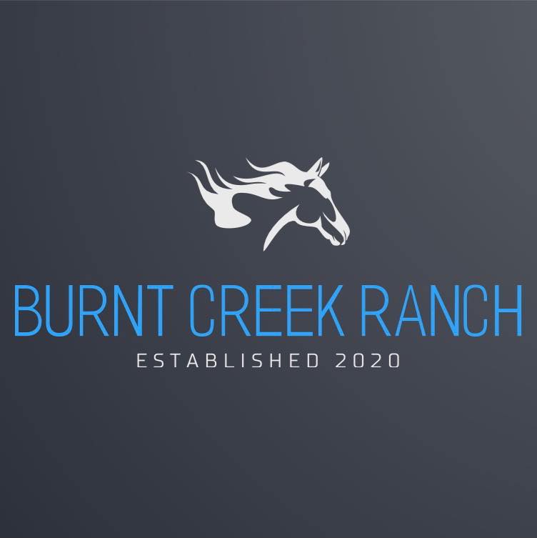 Burnt Creek Ranch Quarter Horses | Baldwin ND