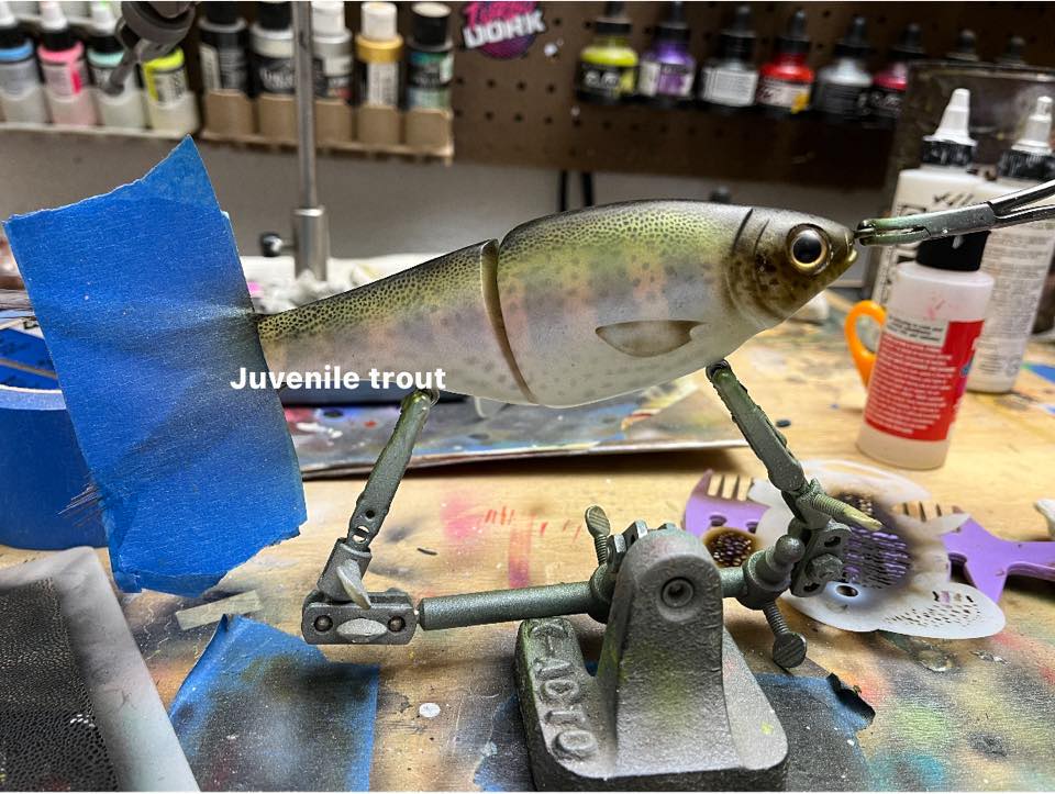dogfish fishing lures Snag Proof Zoo Dog Description The goal from the outset was to design a lure unlike any other Tsunami Midwave Single Bucktail Jig