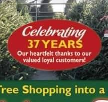 Ergle Christmas Tree Farm | Dade City FL