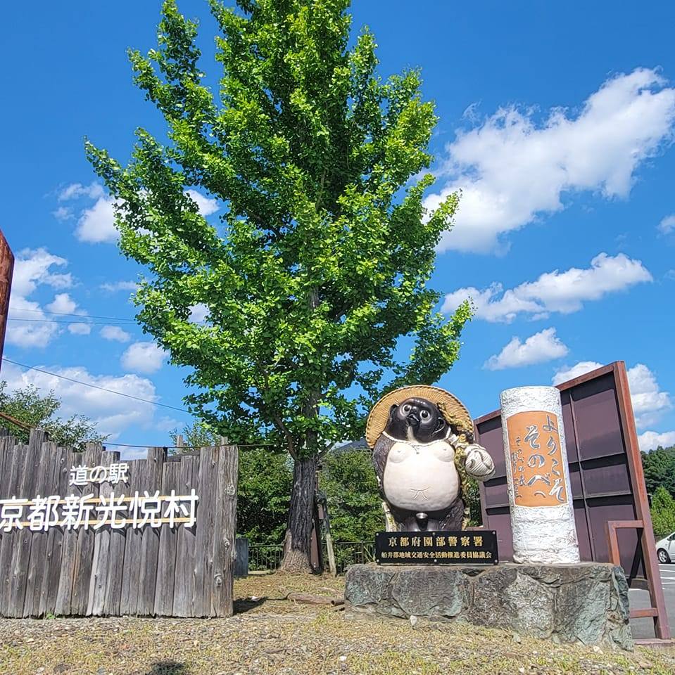 活動歴および当時の関連ビジュアル記録