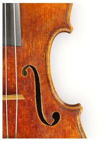 Doran Violins | Duvall WA