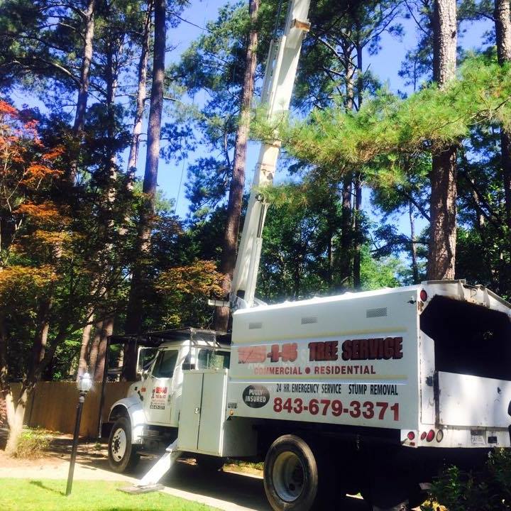 Trees R Us | Florence SC