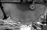 Hickory & Oak Sawmilling and Lumber Company, LLC | Decatur MI