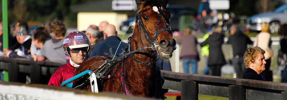 Gavin Smith Racing Stables | Woodend