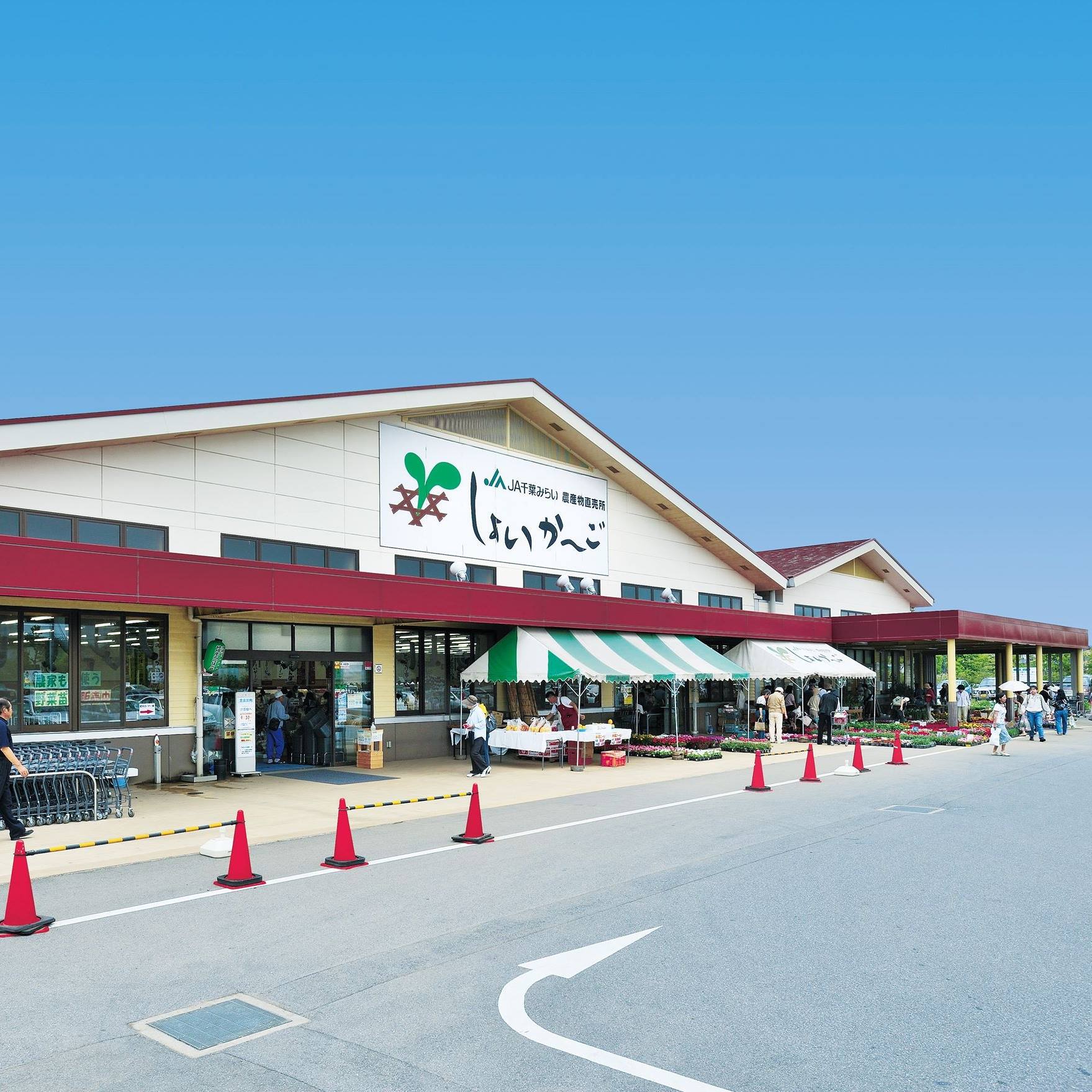 活動歴および当時の関連ビジュアル記録