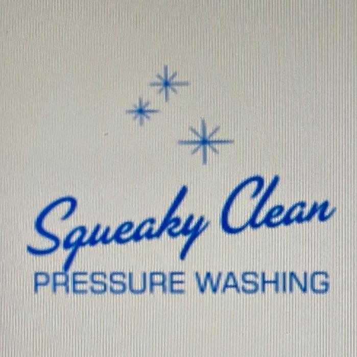 Squeaky Clean Pressure Washing