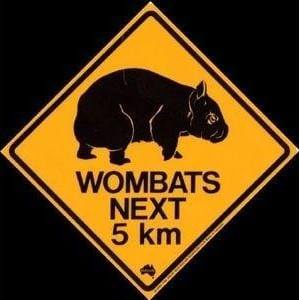 Wombat Computers