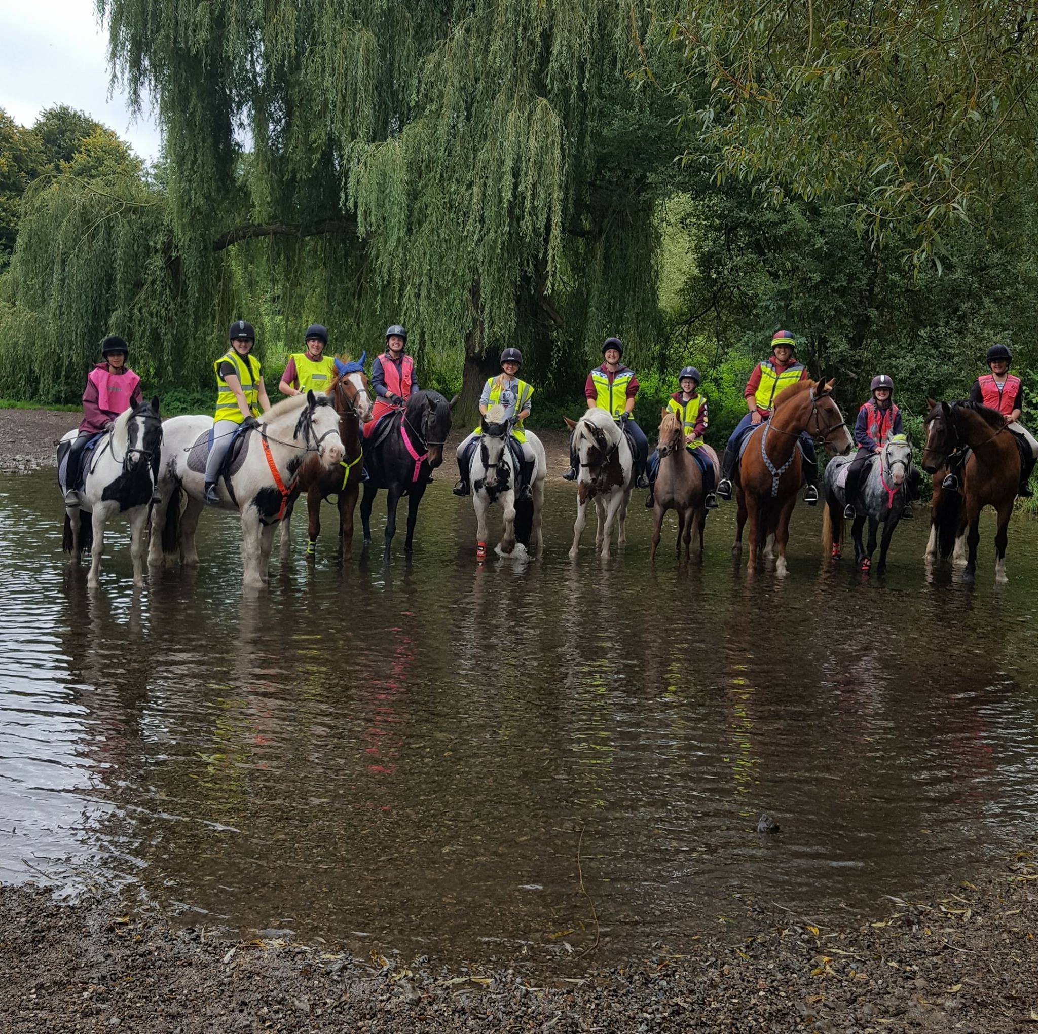 Timbertop Equestrian Centre | London