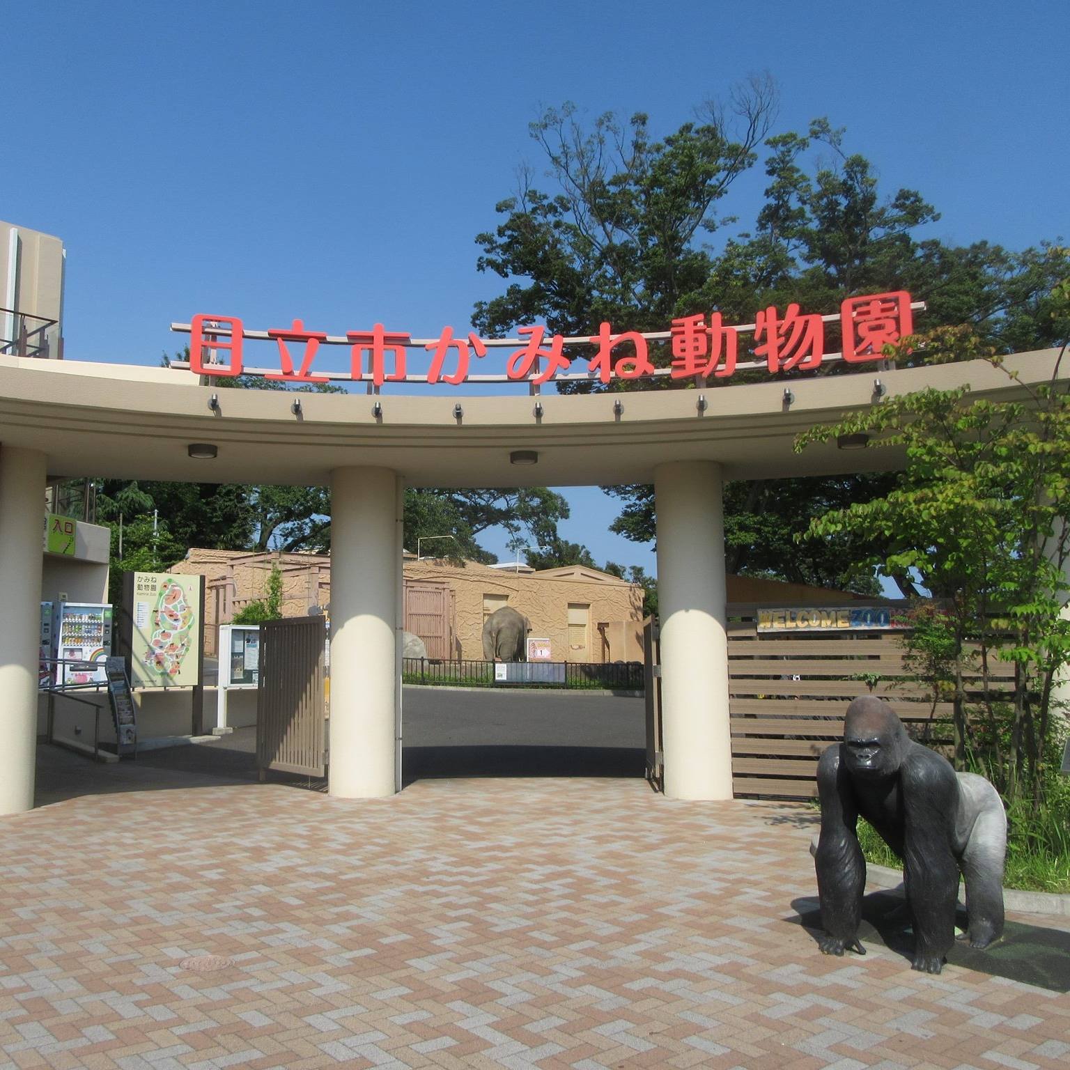 日立 市 かみ ね 動物園