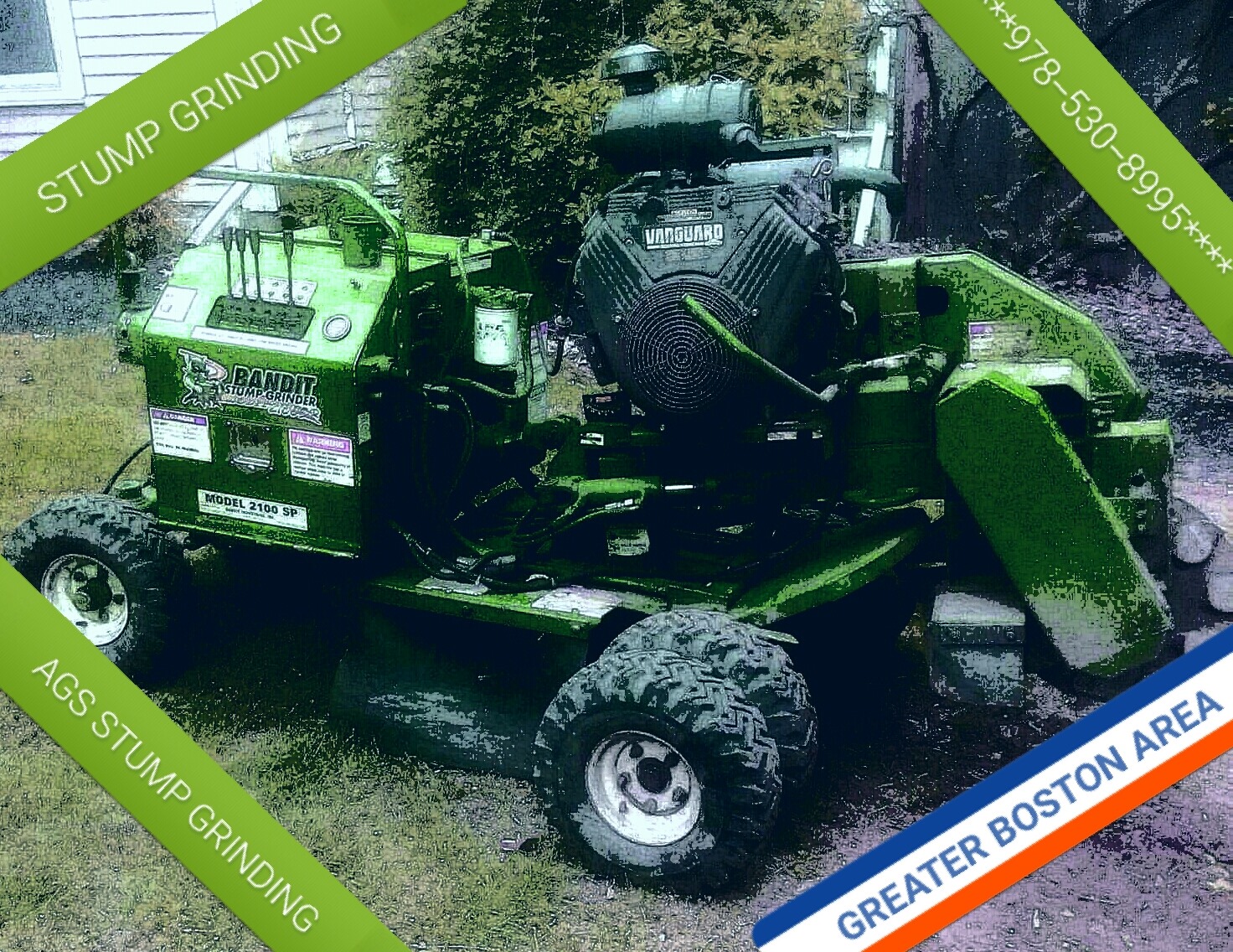 AGS Stump Grinding Service | Lynn MA