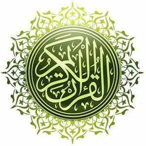 Md Ariyan Islam Redoan
