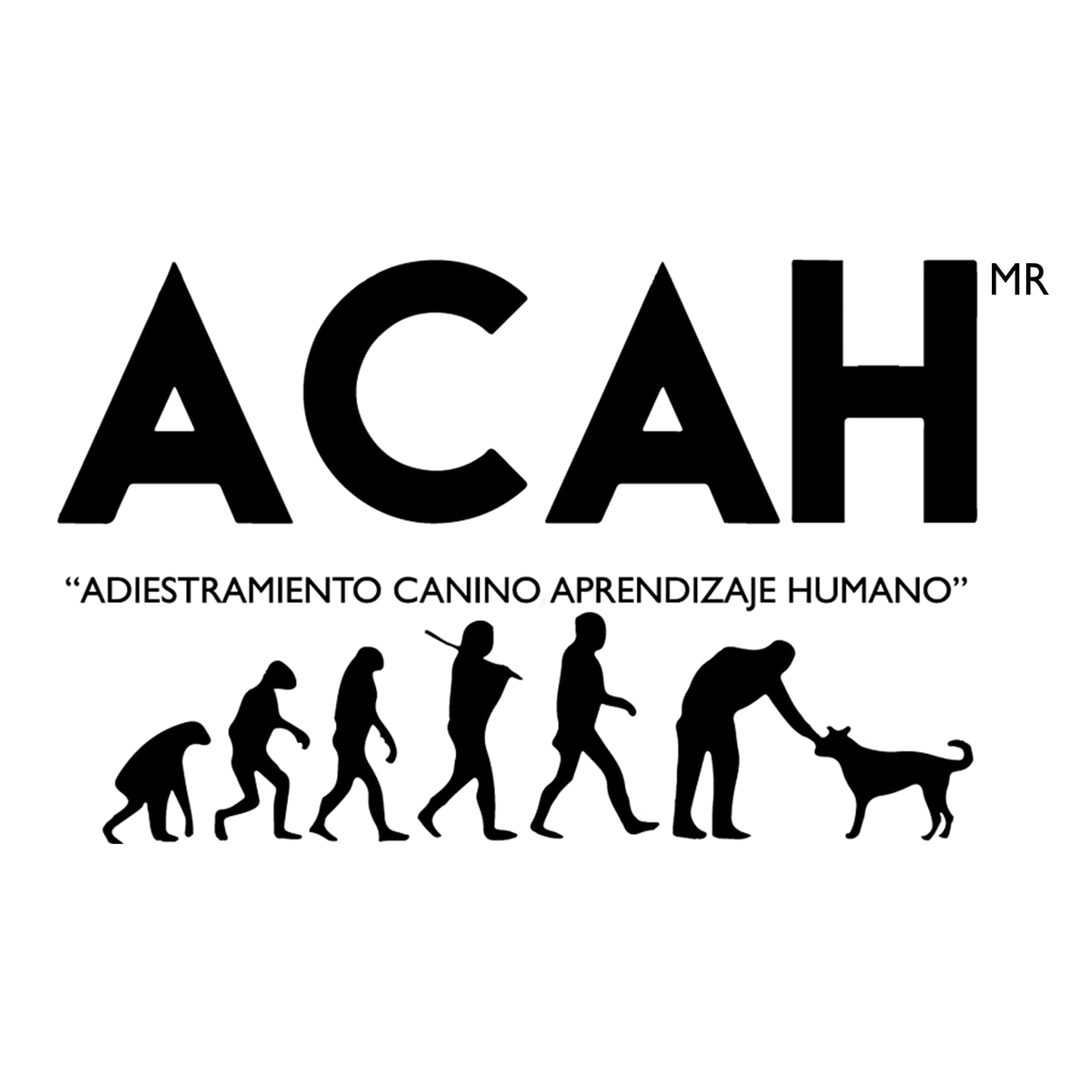 Adiestramiento Acah | León