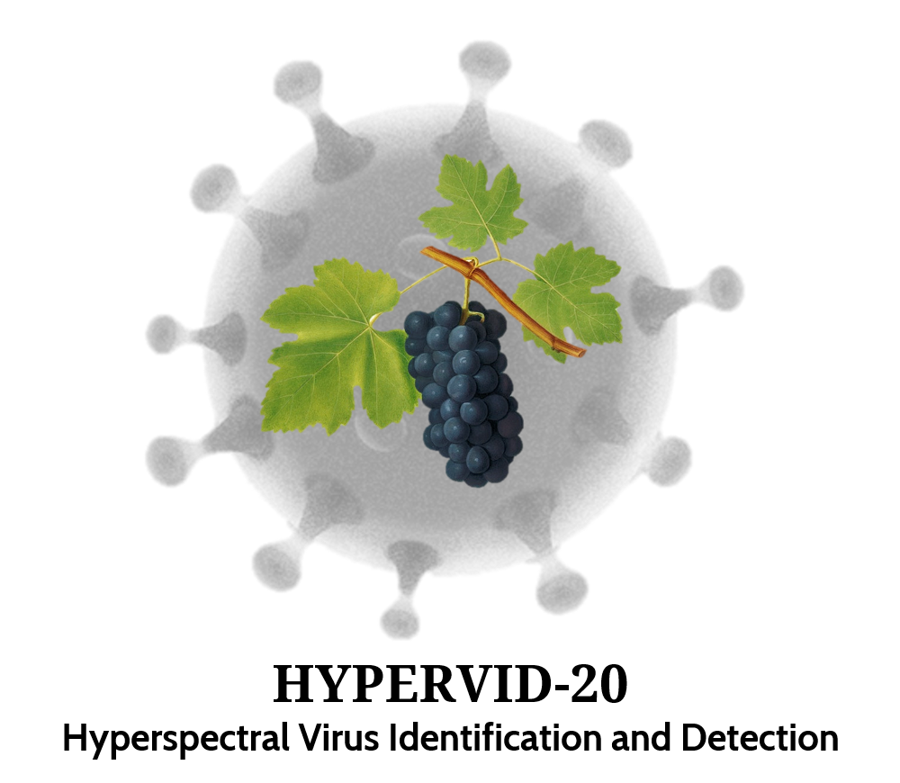 Hypervid - Hyperspectral Virus Identification and Detection