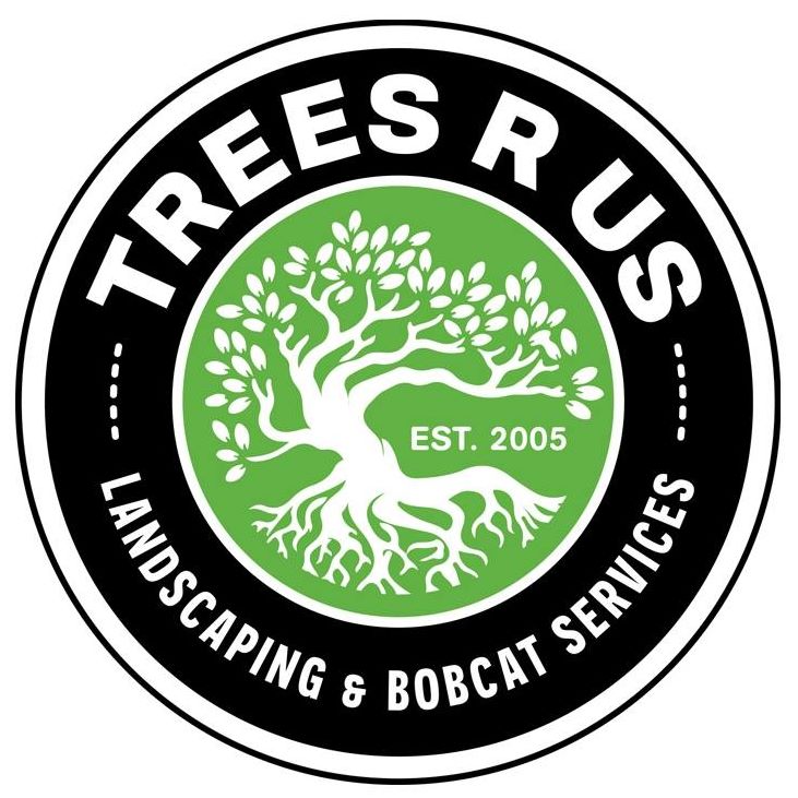 Trees R Us | Key West FL