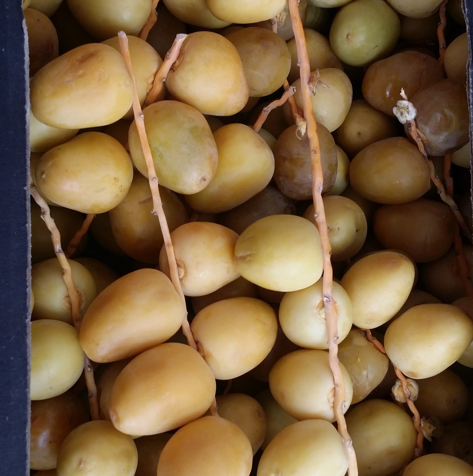 Dates Shop مواعيد التمور | Abu Dhabi