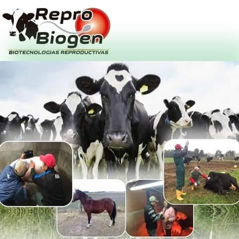 Repro-Biogen | Toacaso