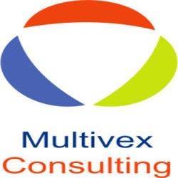 Multivex Consulting