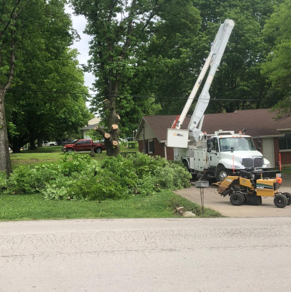 Henry's tree service