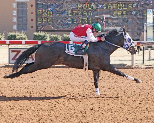 Rockin' S Roping And Racing | Strawn TX
