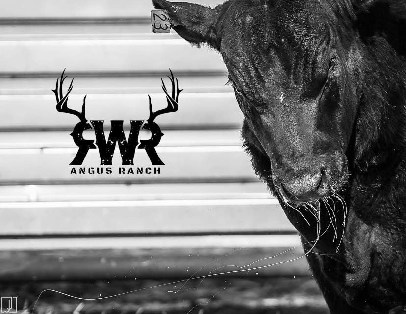 RWR Angus Ranch