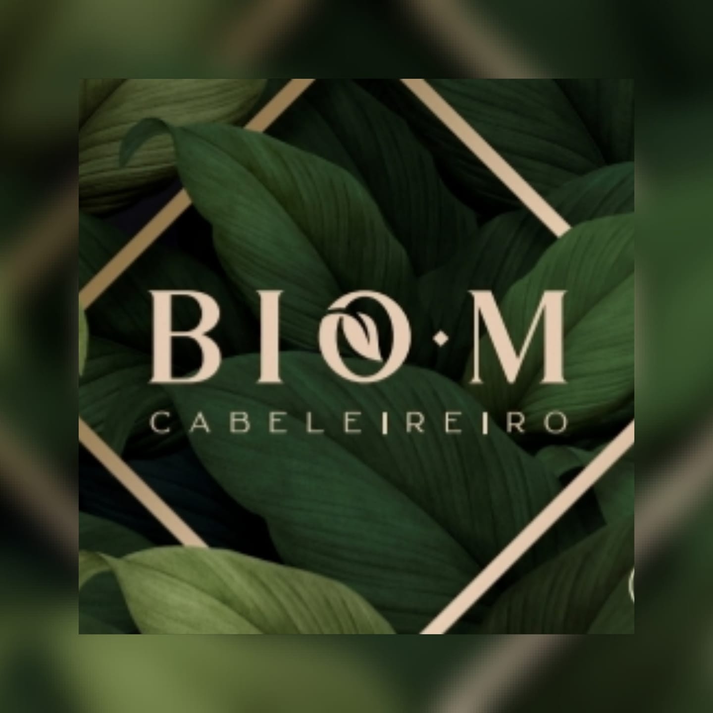 Bio M | Barcelos