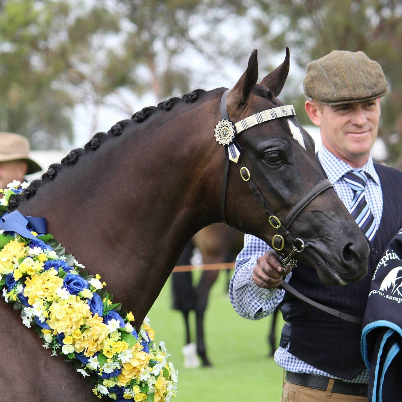 ESP Ribbons & Rosettes | Springton SA