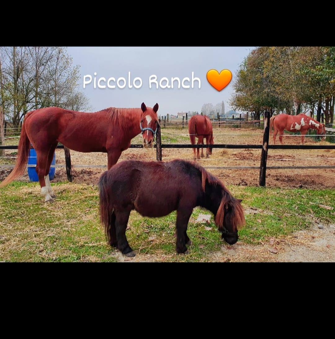 Piccolo Ranch | San Pietro in Casale