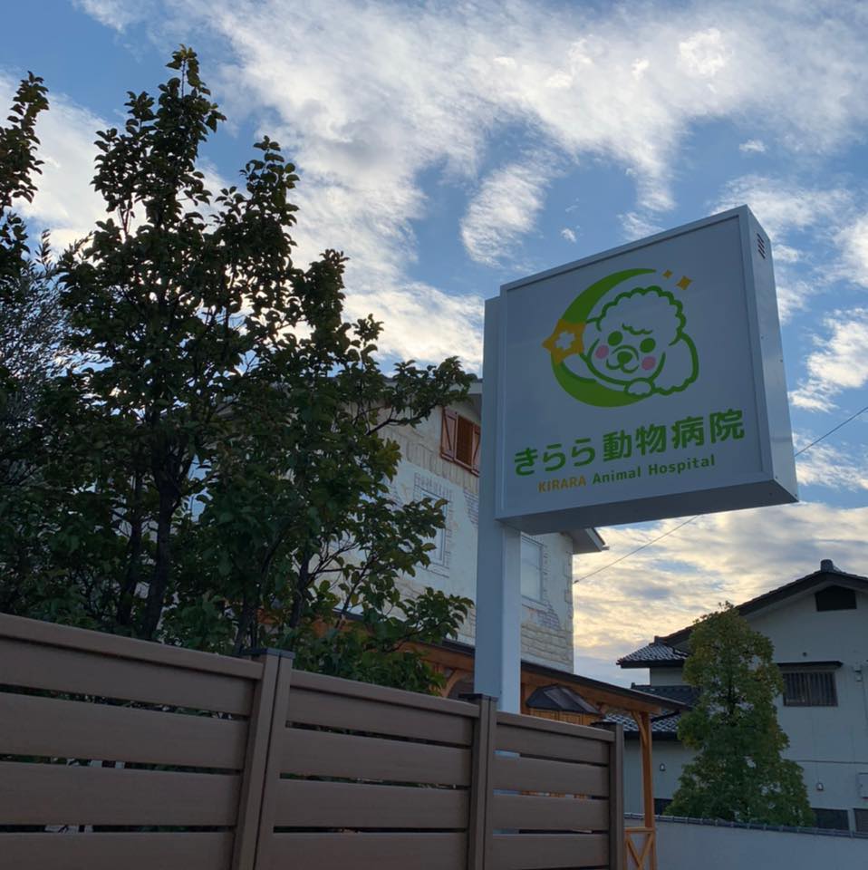 きらら 動物 病院