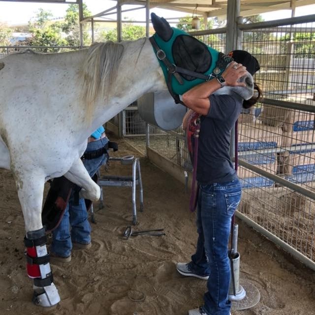 Jump Start Equine Therapy | Mineral Wells TX