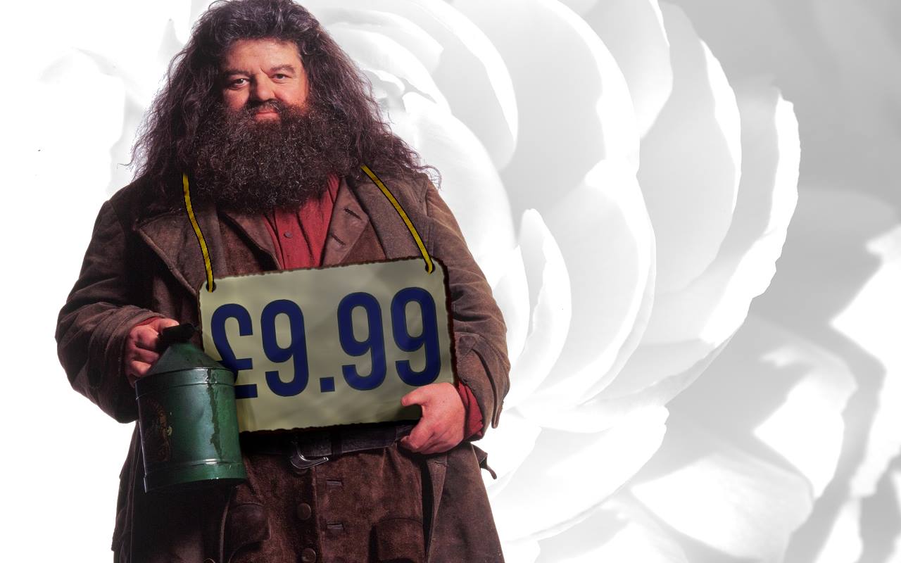 Hagrid Trading Centre HQ
