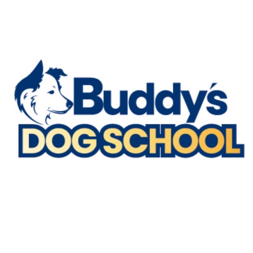 Buddy's Dog School, Inc. (@buddysdogschool) - Mentions | Facebook