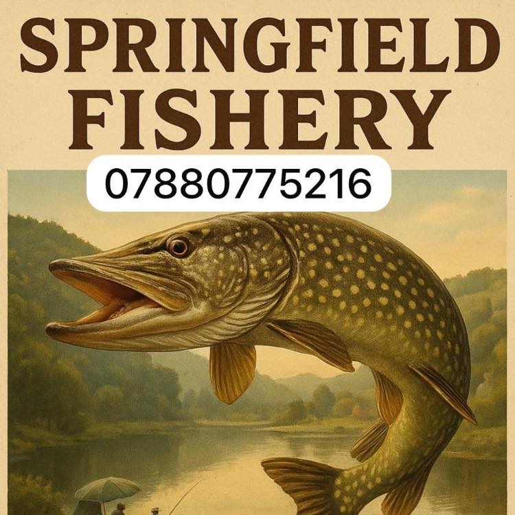 springfield-fishery