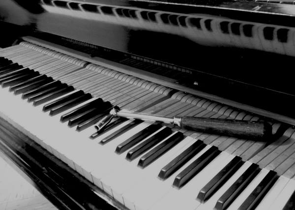 Afinador De Pianos Martín Maina | Bahía Blanca