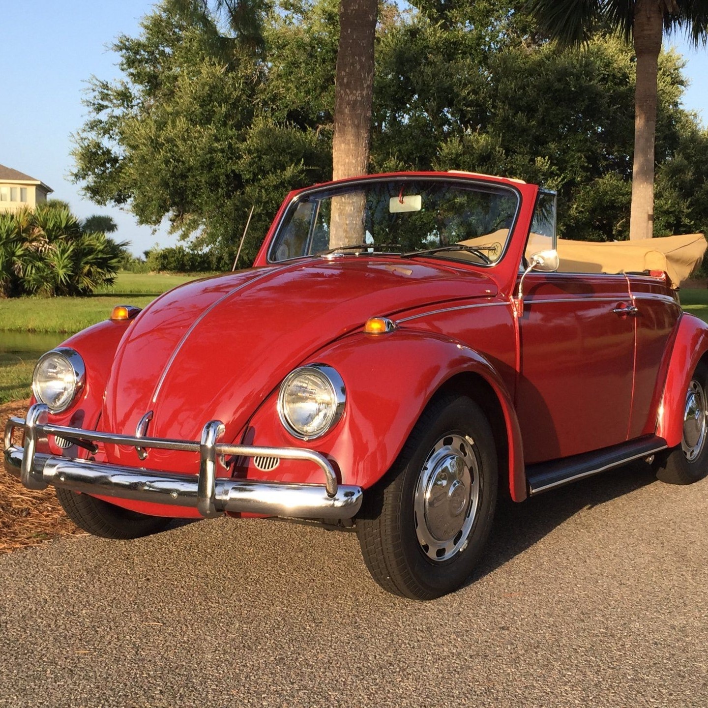 Jimmy's Love Bug | Provo UT