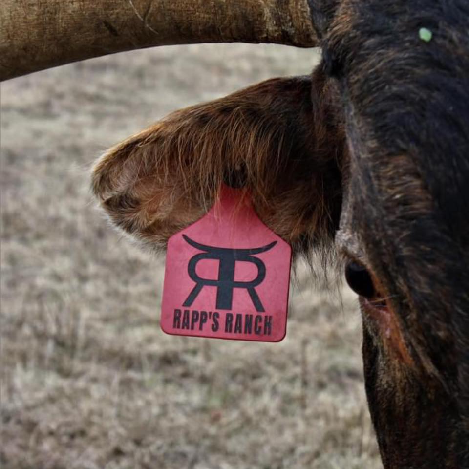 Rapp's Ranch | Aledo TX